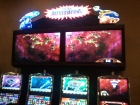 Den 12-Las-Vegas Casino